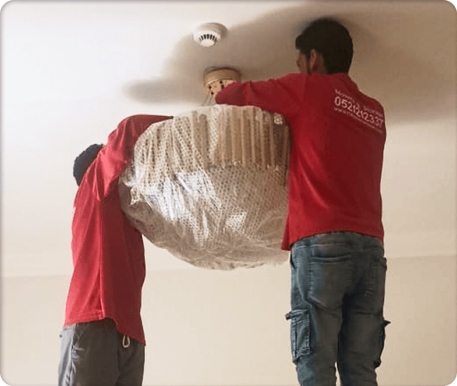 domestic movers